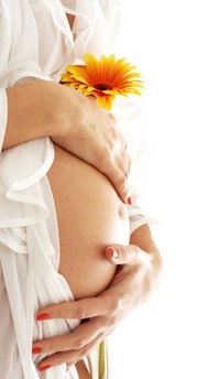 doTERRA_Essential_Oils_For_Pregnancy_Santa_Rosa_Consultant_Sandy_Schuler